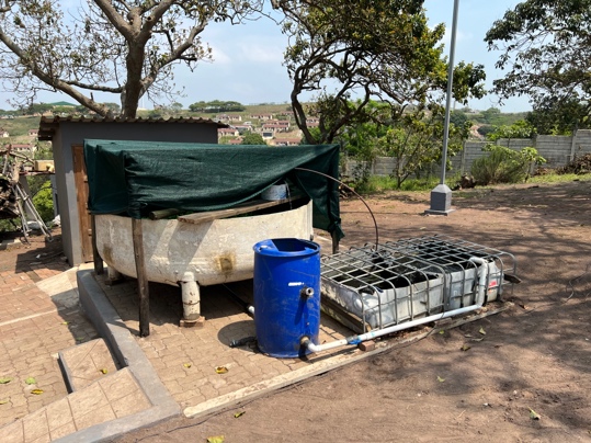 Fish-farming tanks and aquaculture setup at the Dokimos property